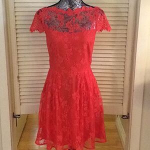 Cynthia Steffe Dramatic Lace over lining dress 4